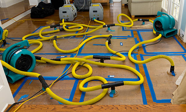 Professional Crawl Space Water Removal technician working in Mora, MO